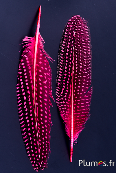 Pintade - 16-20 cm - rose 